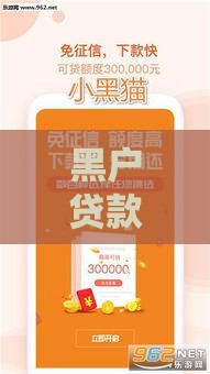 黑户贷款哪里靠谱？这几家平台竟然能下款！