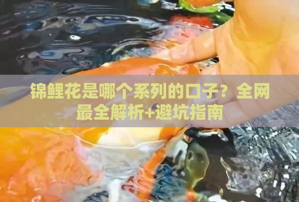 锦鲤花是哪个系列的口子？全网最全解析+避坑指南