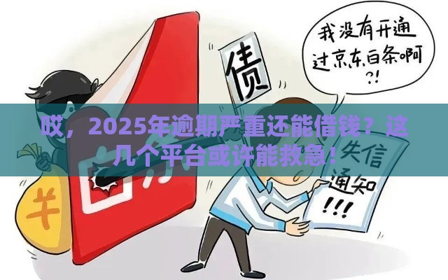 哎，2025年逾期严重还能借钱？这几个平台或许能救急！