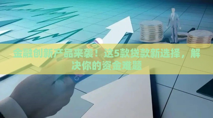 金融创新产品来袭！这5款贷款新选择，解决你的资金难题