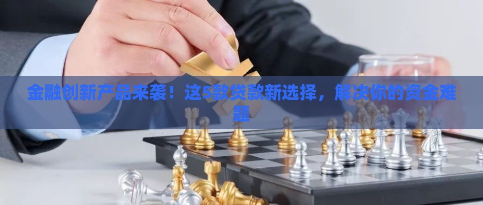 金融创新产品来袭！这5款贷款新选择，解决你的资金难题