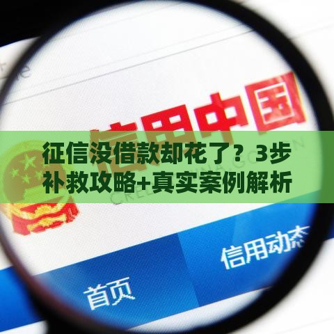 征信没借款却花了？3步补救攻略+真实案例解析