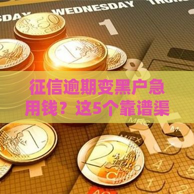 征信逾期变黑户急用钱？这5个靠谱渠道还能借！