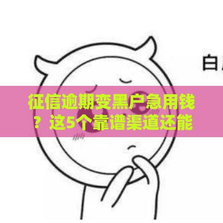 征信逾期变黑户急用钱？这5个靠谱渠道还能借！