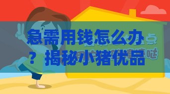 急需用钱怎么办？揭秘小猪优品贷款口子怎么选最划算