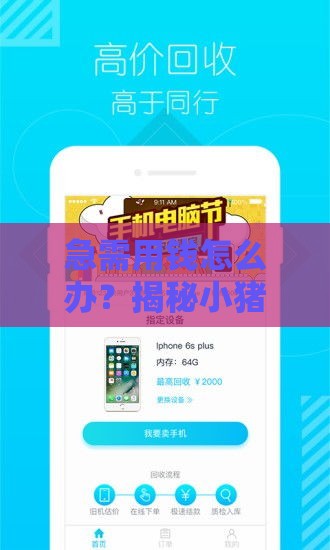 急需用钱怎么办？揭秘小猪优品贷款口子怎么选最划算