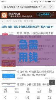 急需用钱怎么办？揭秘小猪优品贷款口子怎么选最划算