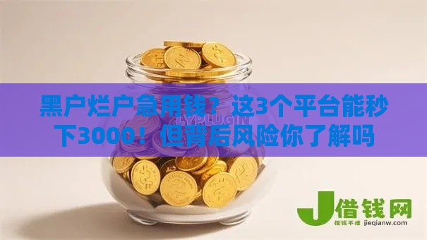 黑户烂户急用钱？这3个平台能秒下3000！但背后风险你了解吗