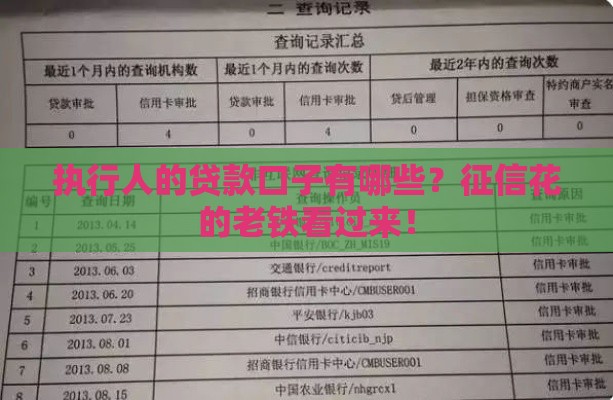 执行人的贷款口子有哪些？征信花的老铁看过来！