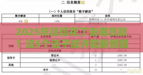 2025年征信花了去哪贷款？这5个法子或许能解燃眉之急