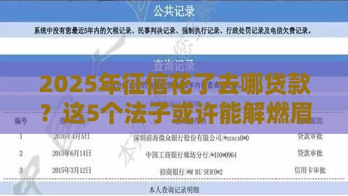 2025年征信花了去哪贷款？这5个法子或许能解燃眉之急