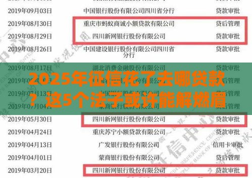 2025年征信花了去哪贷款？这5个法子或许能解燃眉之急