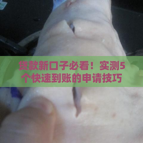 贷款新口子必看！实测5个快速到账的申请技巧