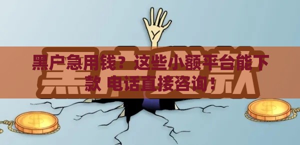 黑户急用钱？这些小额平台能下款 电话直接咨询！