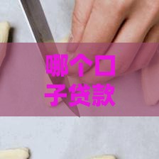 哪个口子贷款额度高？最高30万审批快，实测推荐