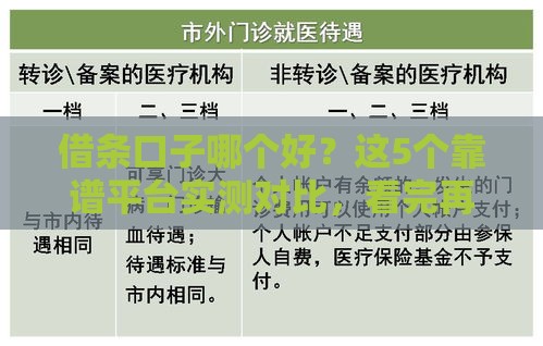 借条口子哪个好？这5个靠谱平台实测对比，看完再选不踩坑！