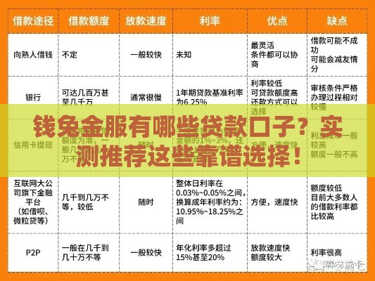钱兔金服有哪些贷款口子？实测推荐这些靠谱选择！