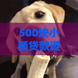 500块小额贷款避坑指南