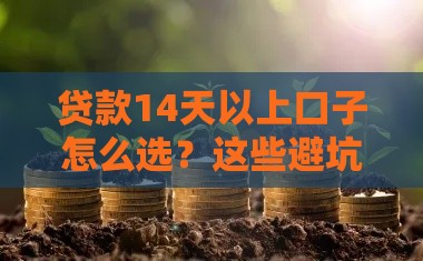 贷款14天以上口子怎么选？这些避坑指南新手必看！