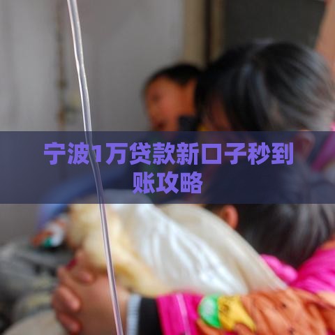 宁波1万贷款新口子秒到账攻略