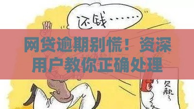 网贷逾期别慌！资深用户教你正确处理妙招