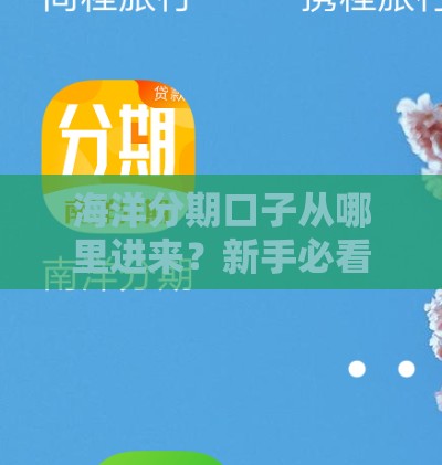 海洋分期口子从哪里进来？新手必看攻略+避坑指南