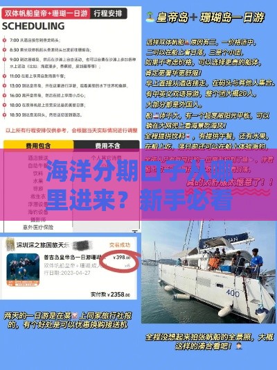 海洋分期口子从哪里进来？新手必看攻略+避坑指南