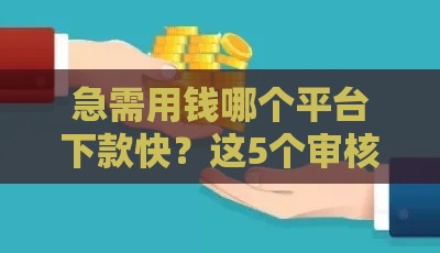 急需用钱哪个平台下款快？这5个审核松、到账快！