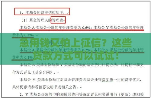 急用钱又怕上征信？这些贷款方式可以试试！