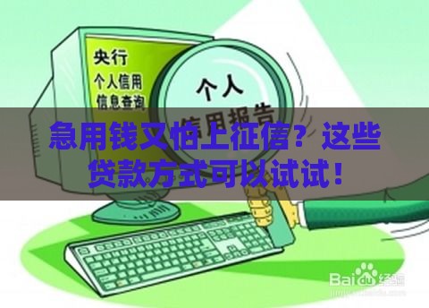 急用钱又怕上征信？这些贷款方式可以试试！