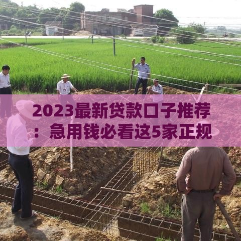 2023最新贷款口子推荐：急用钱必看这5家正规平台！
