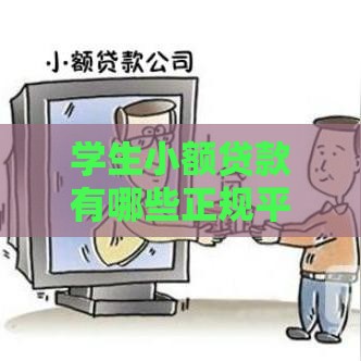 学生小额贷款有哪些正规平台？这5个渠道靠谱又安全