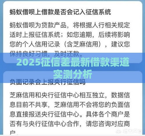 2025征信差最新借款渠道实测分析
