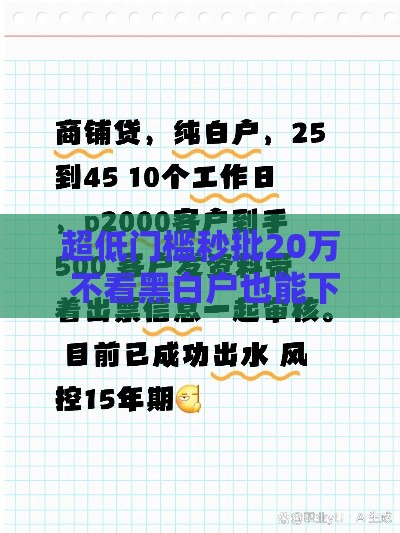 超低门槛秒批20万 不看黑白户也能下款