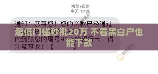 超低门槛秒批20万 不看黑白户也能下款
