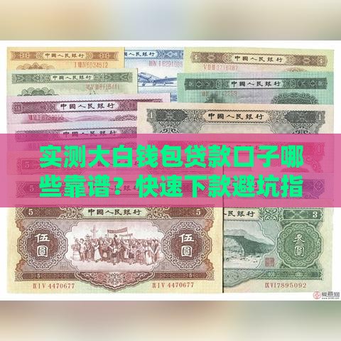 实测大白钱包贷款口子哪些靠谱？快速下款避坑指南