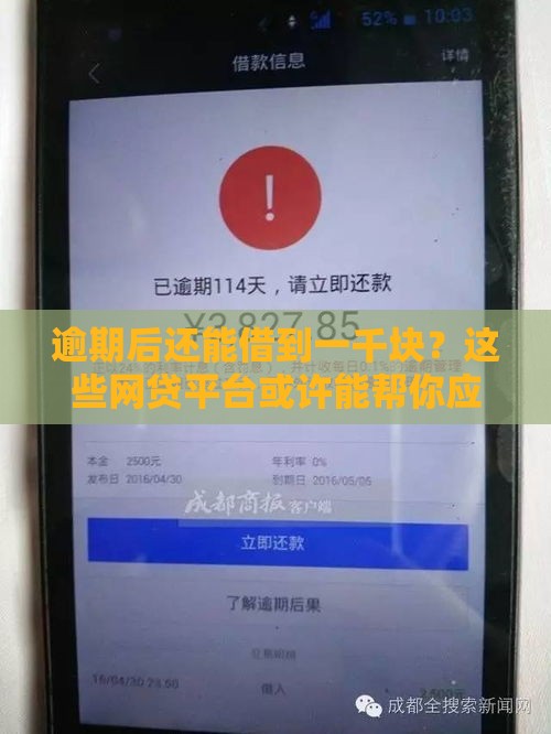 逾期后还能借到一千块？这些网贷平台或许能帮你应急！