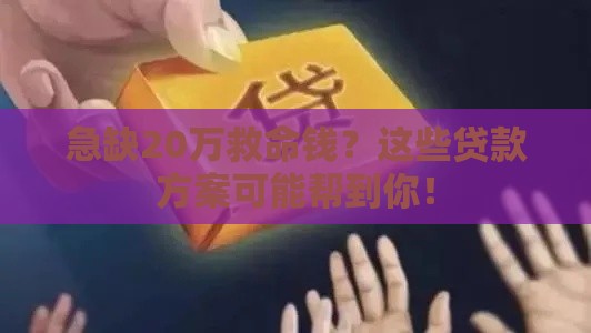 急缺20万救命钱？这些贷款方案可能帮到你！