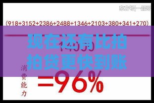 现在还有比拍拍贷更快到账的贷款方式吗？
