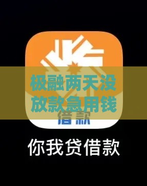 极融两天没放款急用钱？资深用户教你3招快速到账