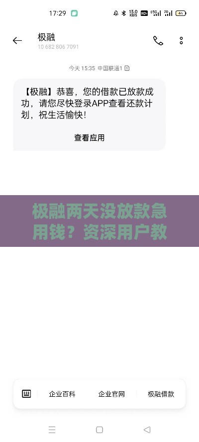 极融两天没放款急用钱？资深用户教你3招快速到账
