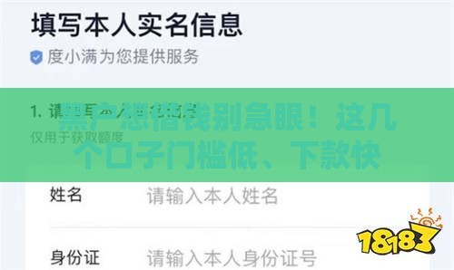 黑户想借钱别急眼！这几个口子门槛低、下款快