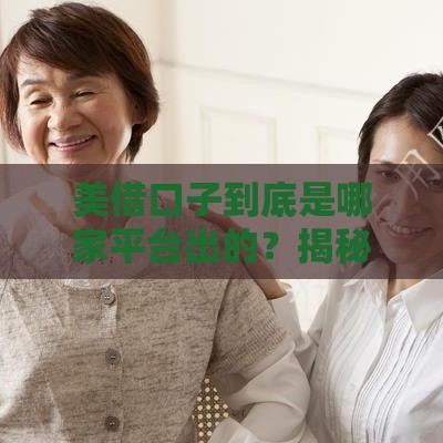 美借口子到底是哪家平台出的？揭秘贷款渠道真相
