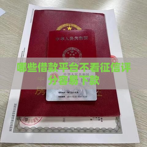 哪些借款平台不看征信评分容易下款