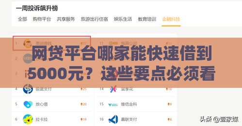 网贷平台哪家能快速借到5000元？这些要点必须看！