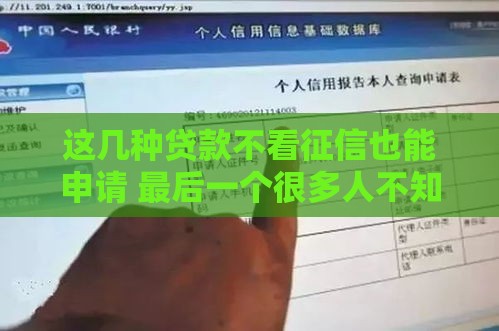 这几种贷款不看征信也能申请 最后一个很多人不知道