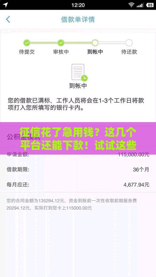 征信花了急用钱？这几个平台还能下款！试试这些方法