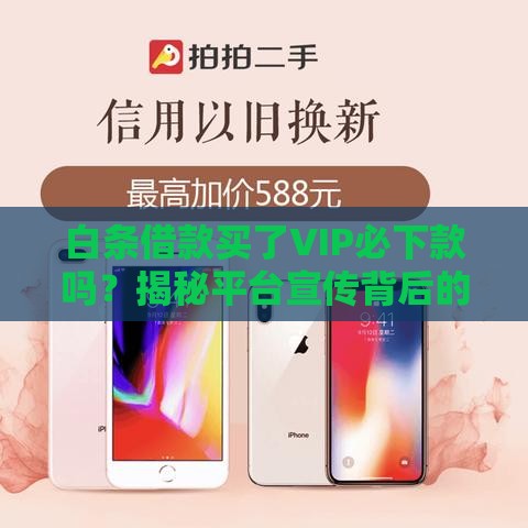 白条借款买了VIP必下款吗？揭秘平台宣传背后的真相！
