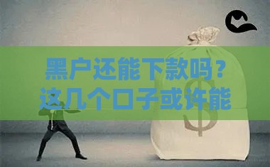 黑户还能下款吗？这几个口子或许能解燃眉之急