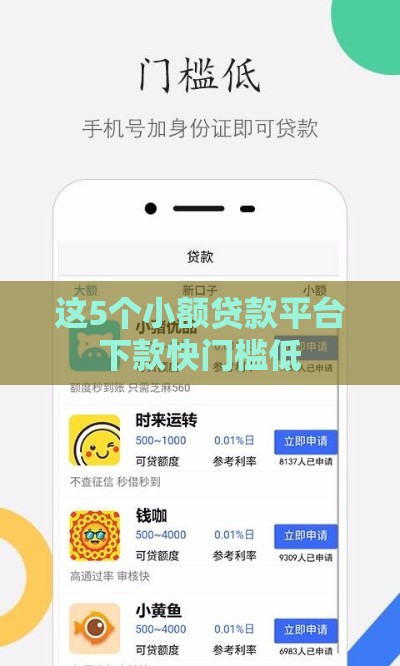这5个小额贷款平台下款快门槛低